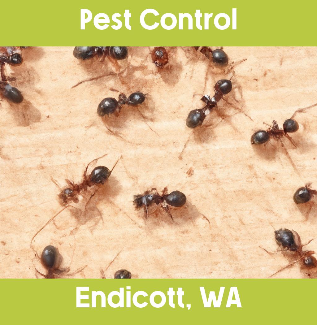 pest control in Endicott Washington