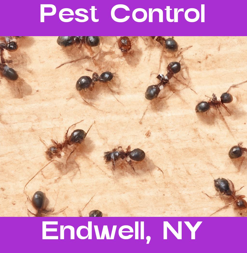 pest control in Endwell New York