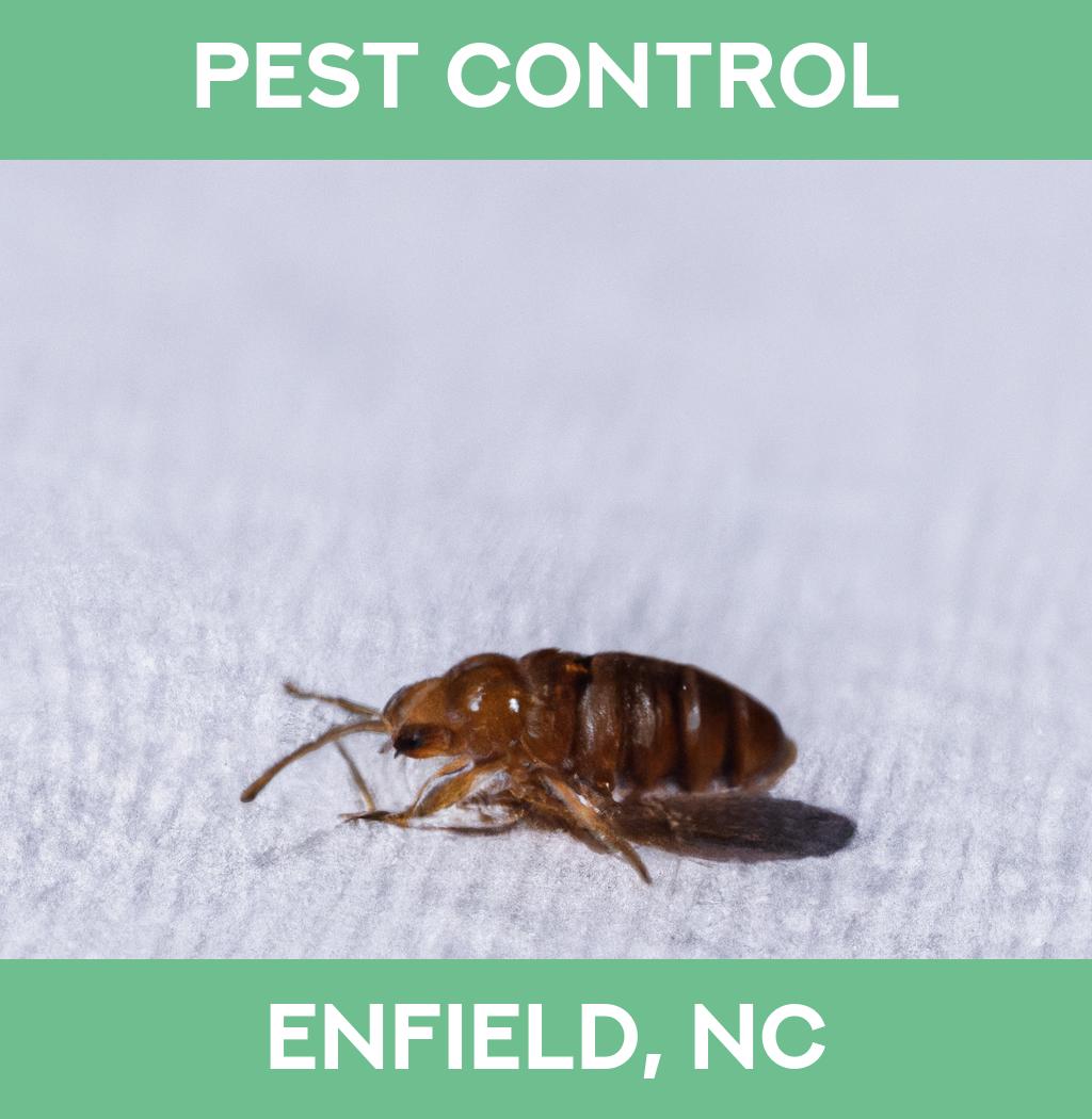 pest control in Enfield North Carolina