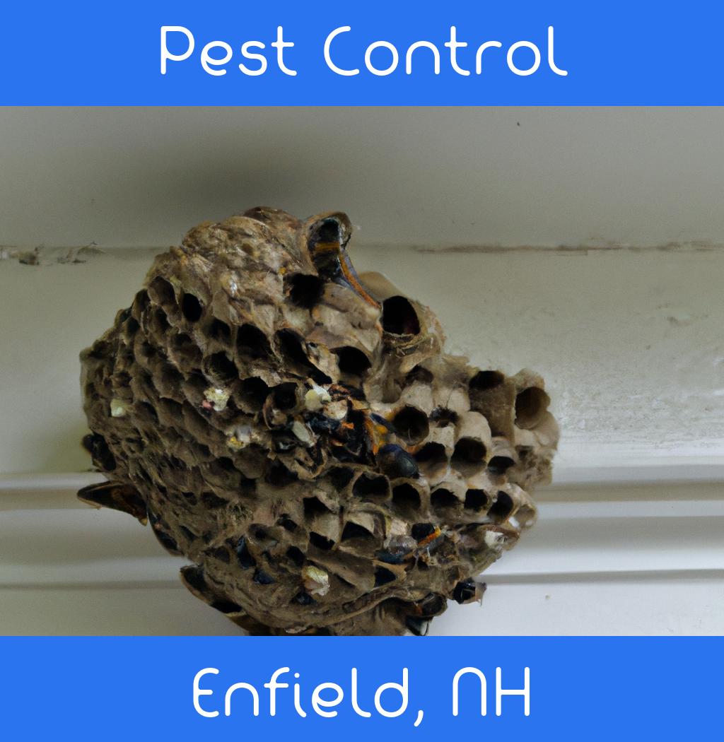 pest control in Enfield New Hampshire