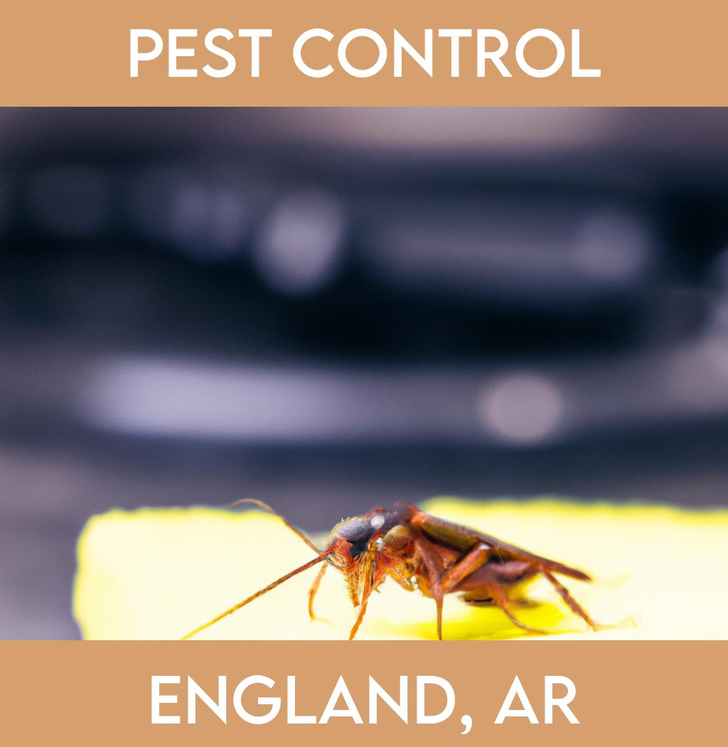 pest control in England Arkansas