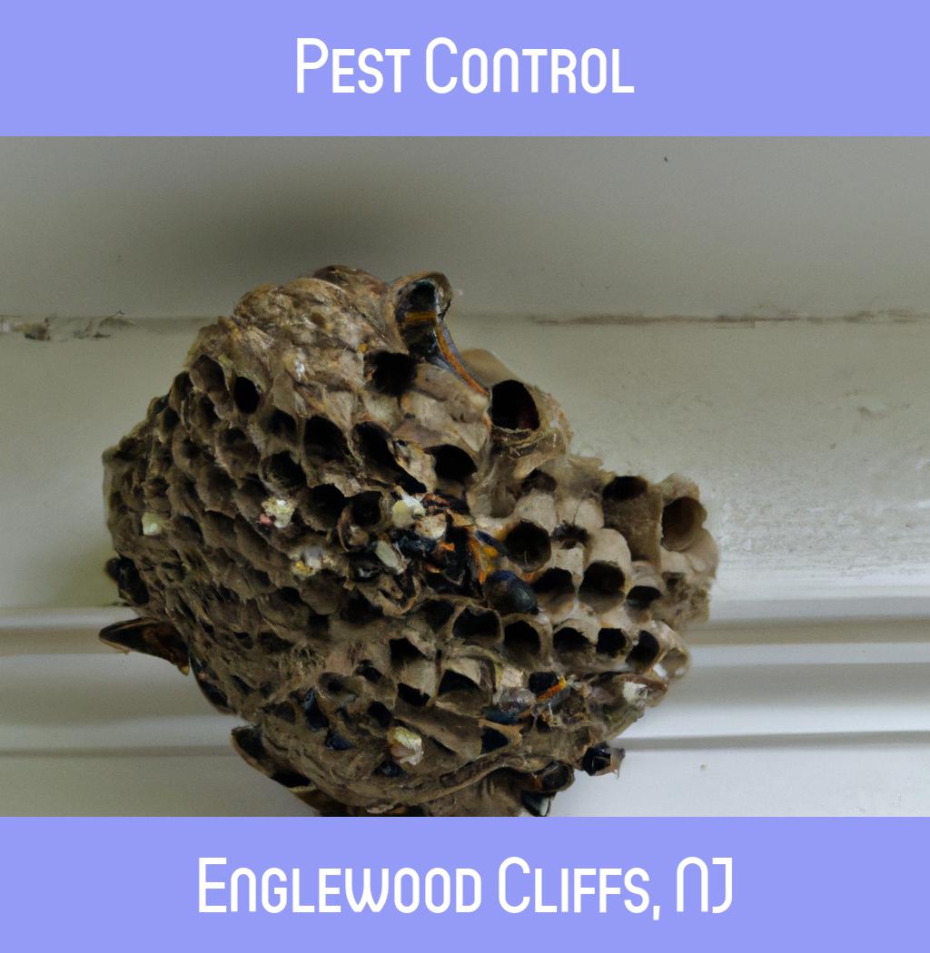 pest control in Englewood Cliffs New Jersey