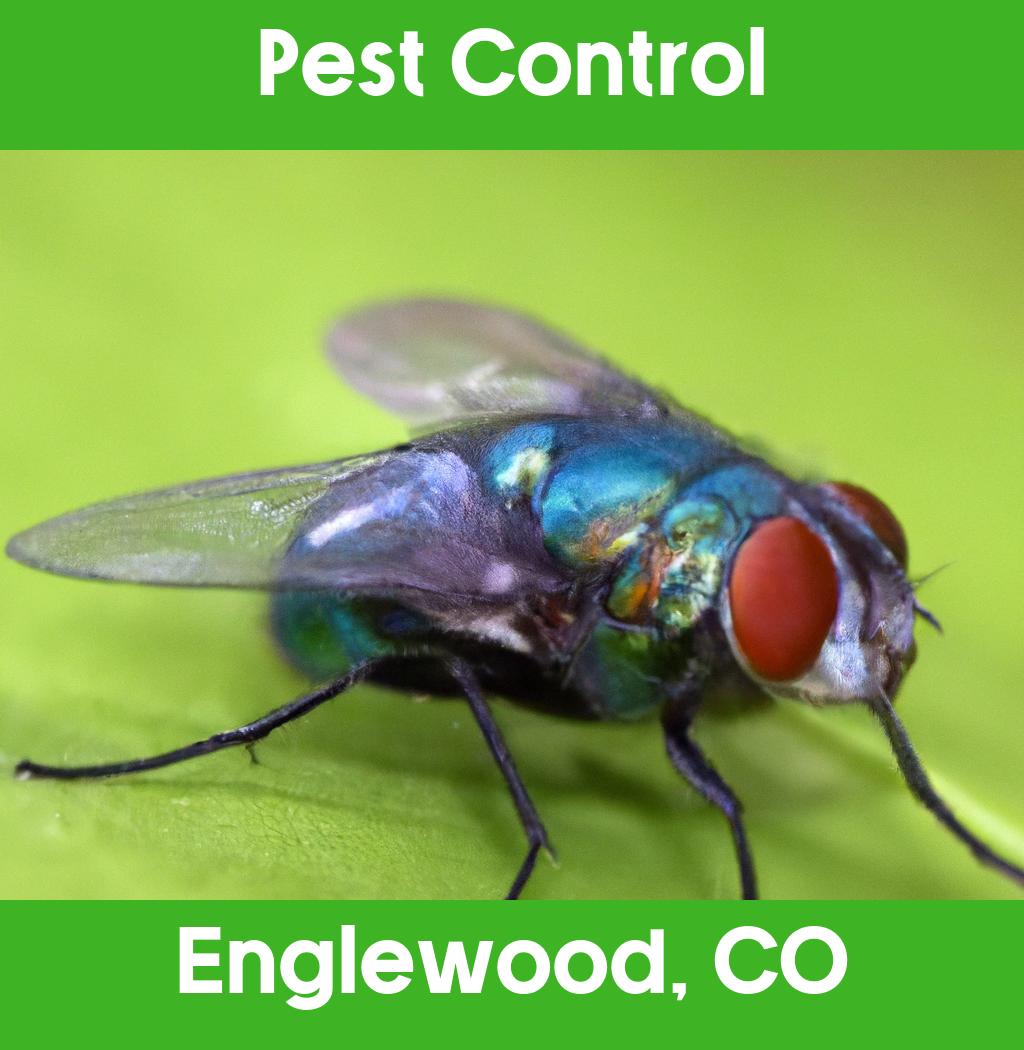 pest control in Englewood Colorado