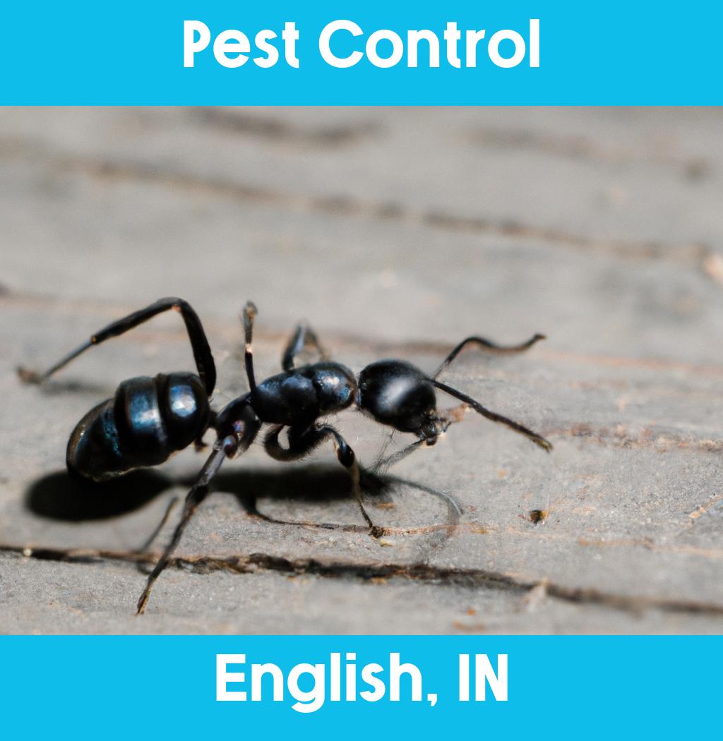 pest control in English Indiana