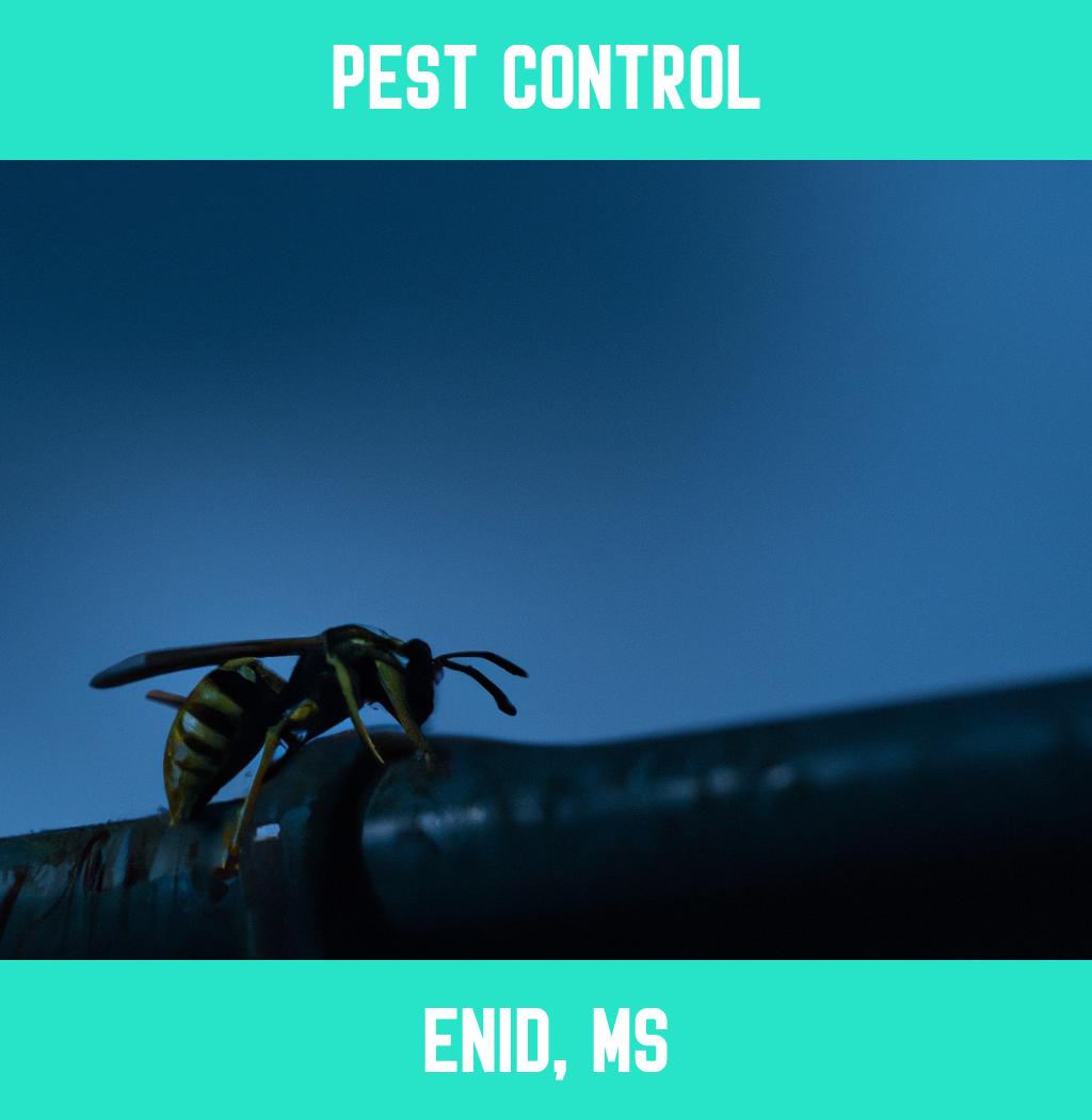 pest control in Enid Mississippi