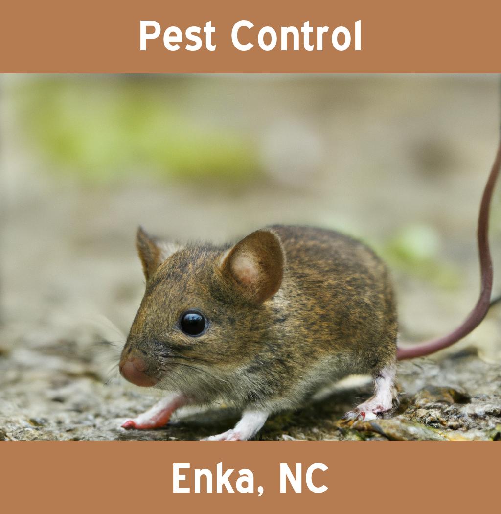 pest control in Enka North Carolina