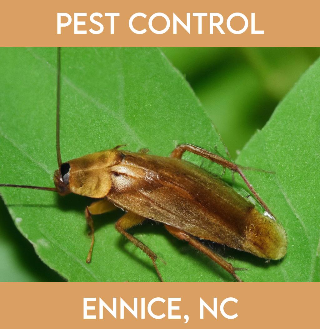 pest control in Ennice North Carolina