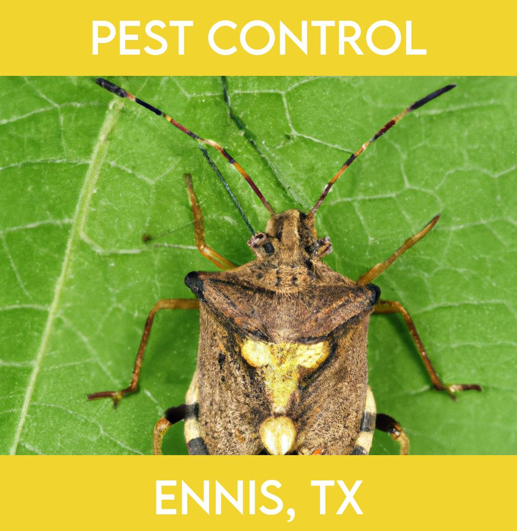 pest control in Ennis Texas