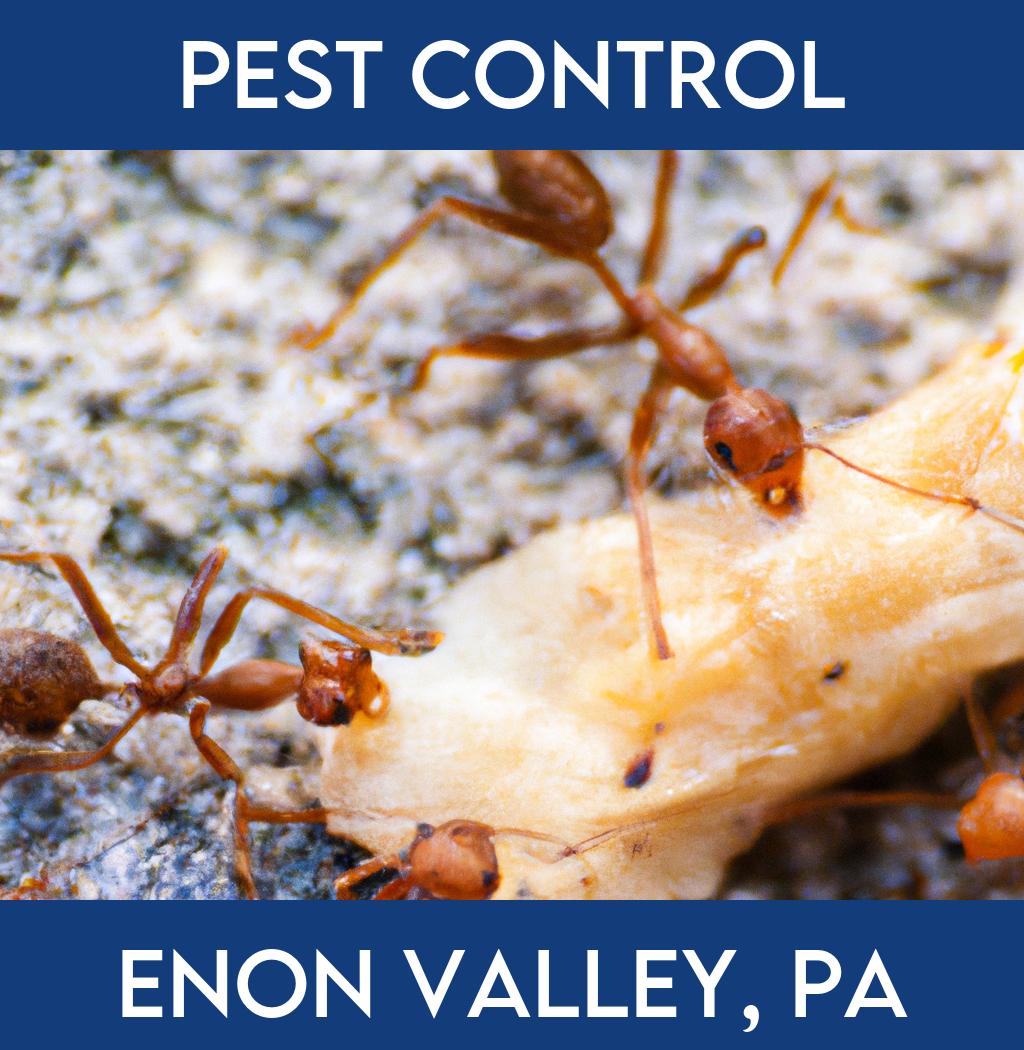 pest control in Enon Valley Pennsylvania