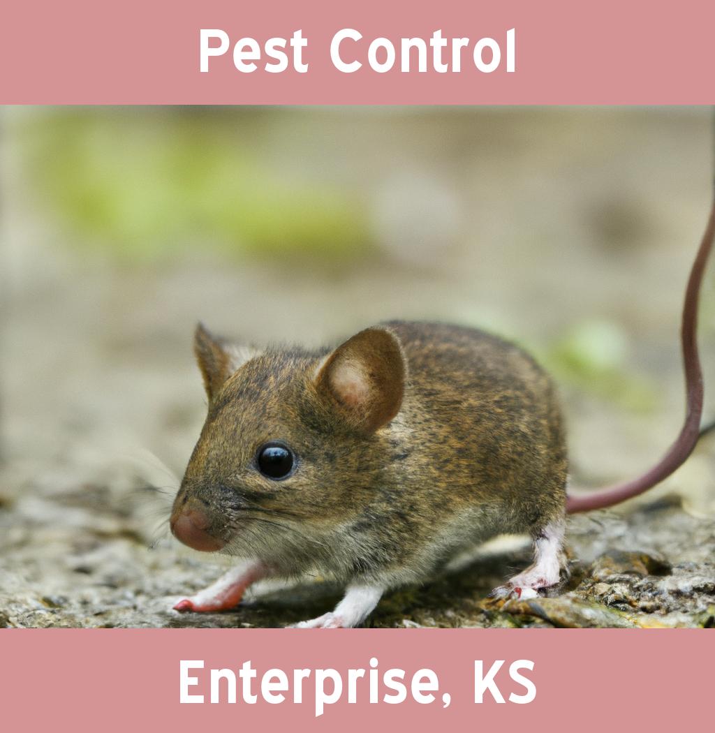 pest control in Enterprise Kansas
