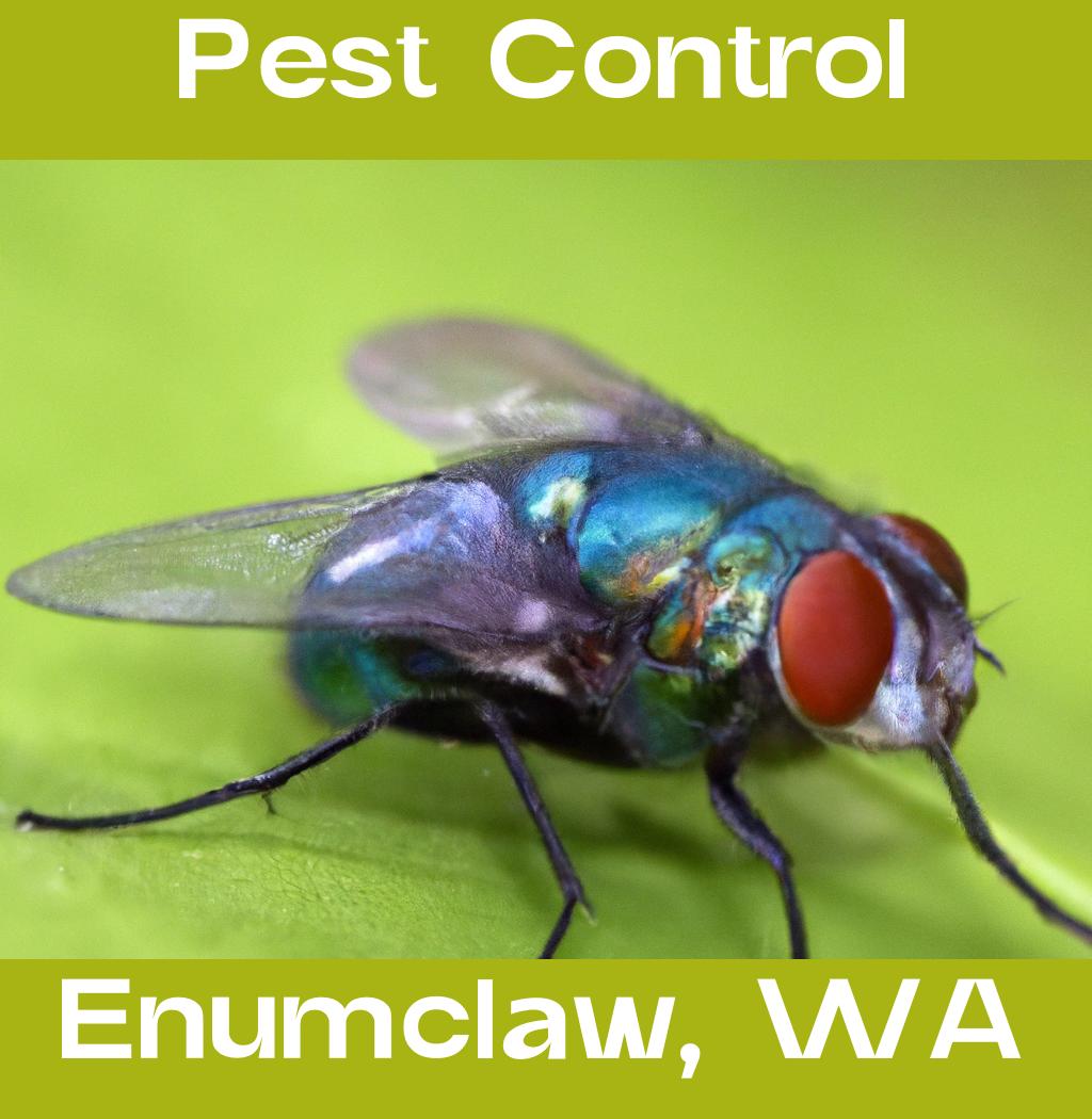 pest control in Enumclaw Washington