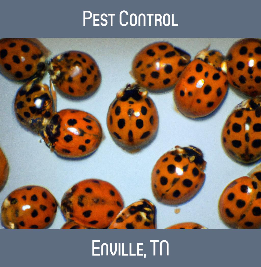 pest control in Enville Tennessee