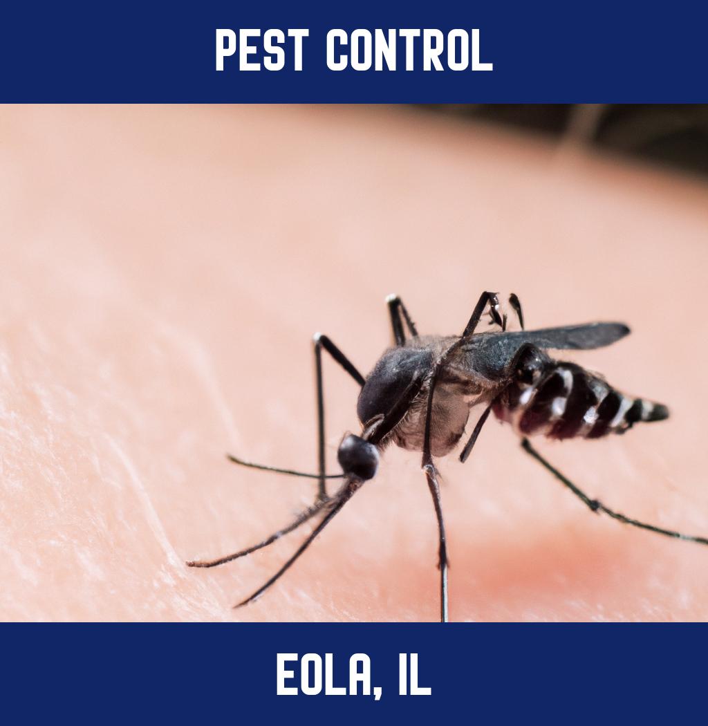 pest control in Eola Illinois