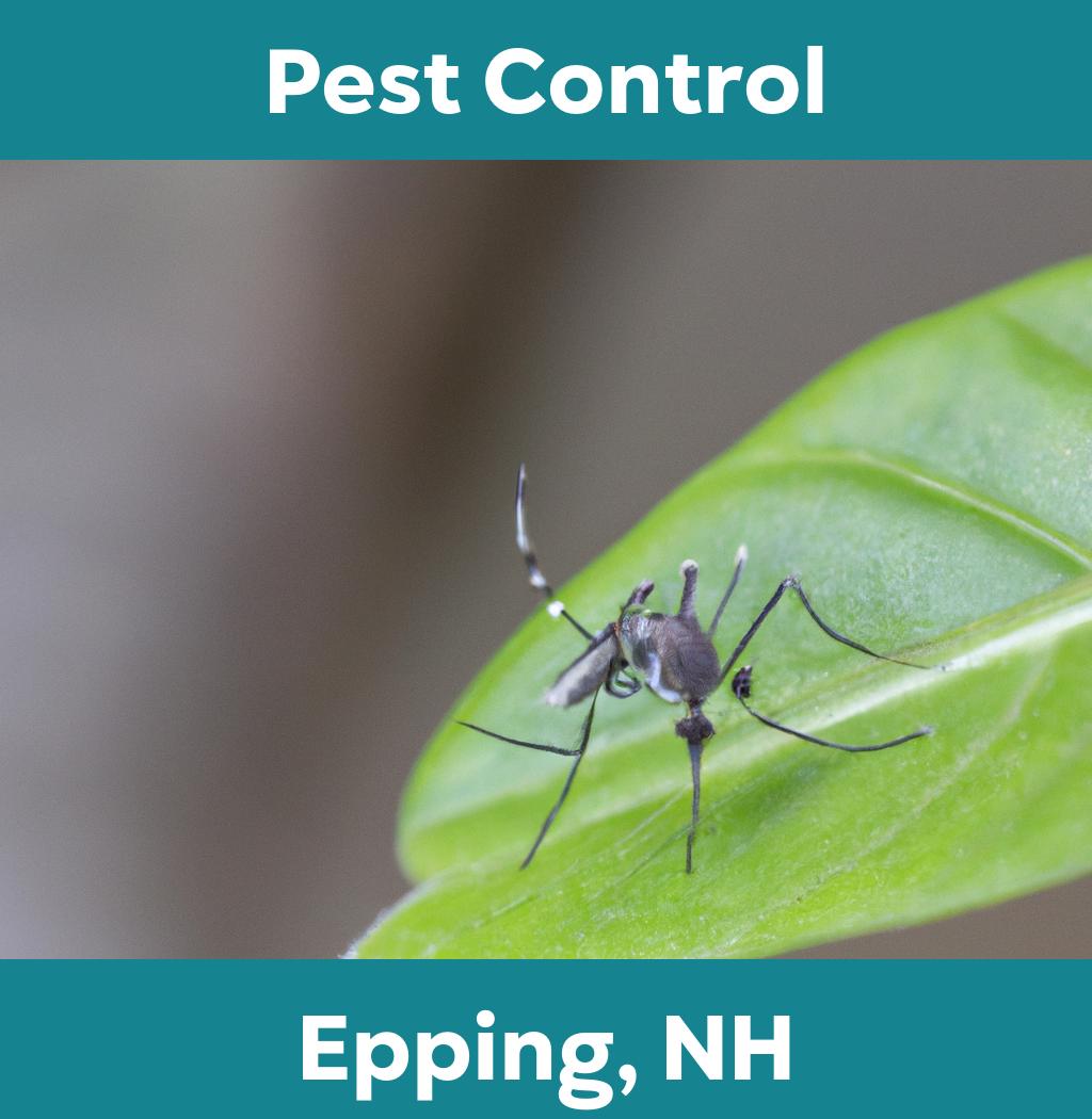 pest control in Epping New Hampshire