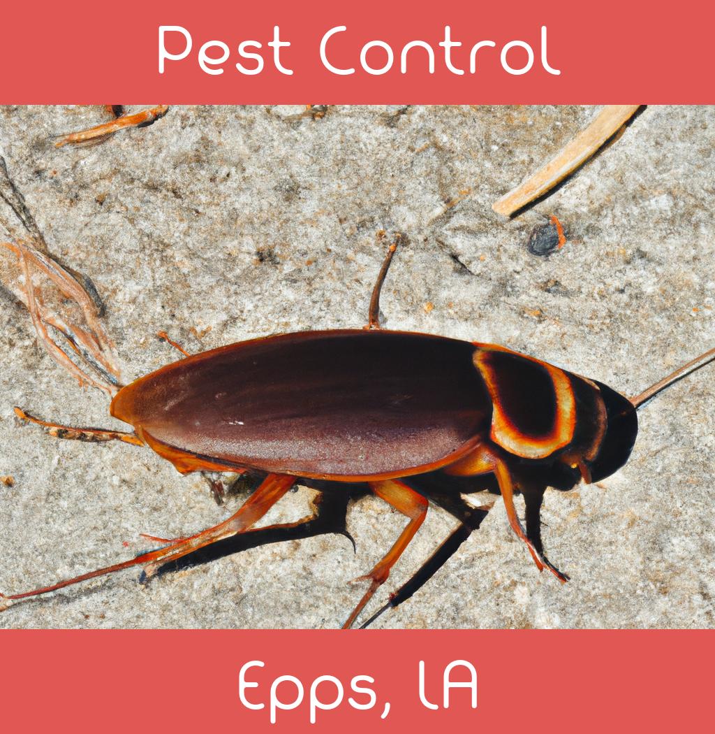 pest control in Epps Louisiana