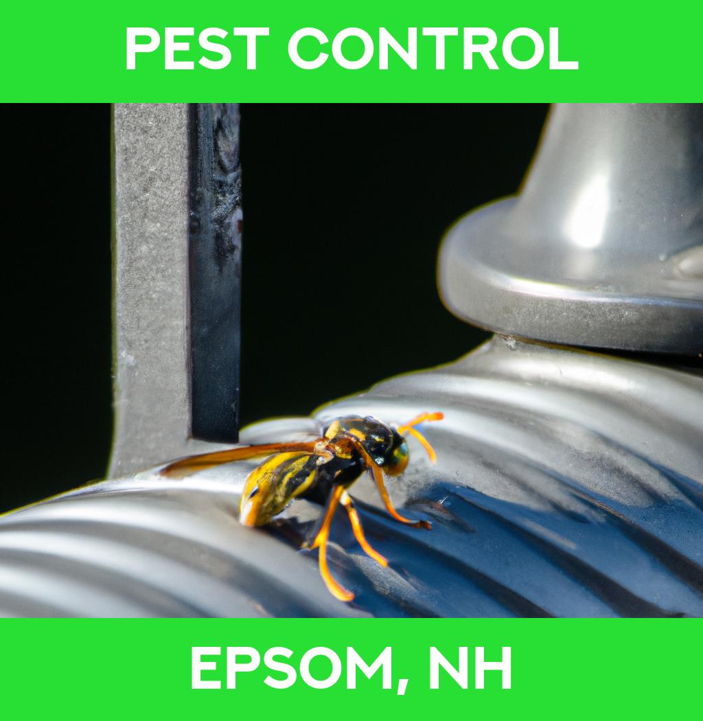 pest control in Epsom New Hampshire