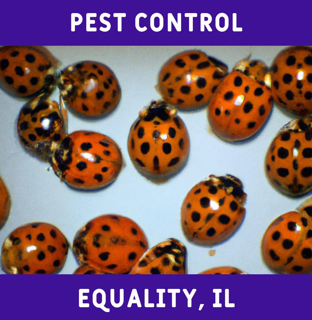 pest control in Equality Illinois
