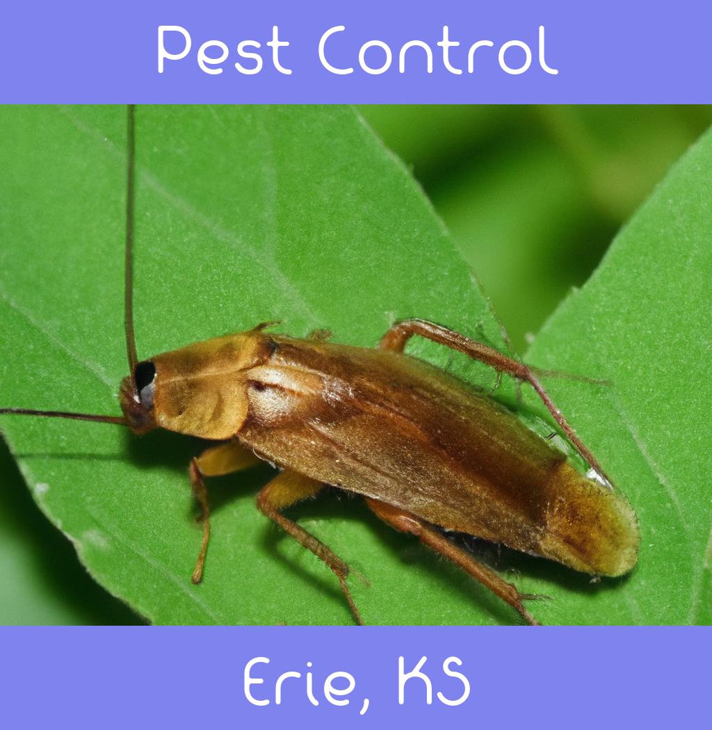 pest control in Erie Kansas