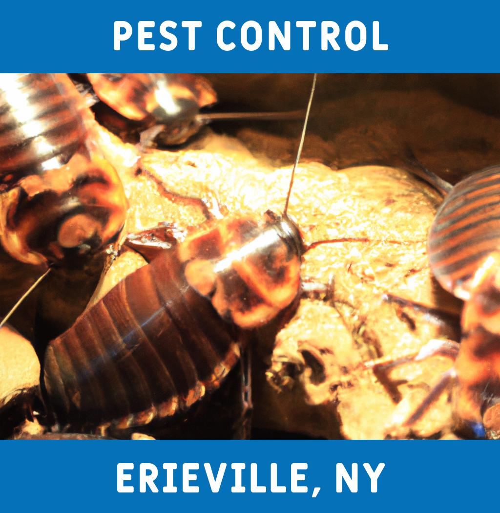pest control in Erieville New York