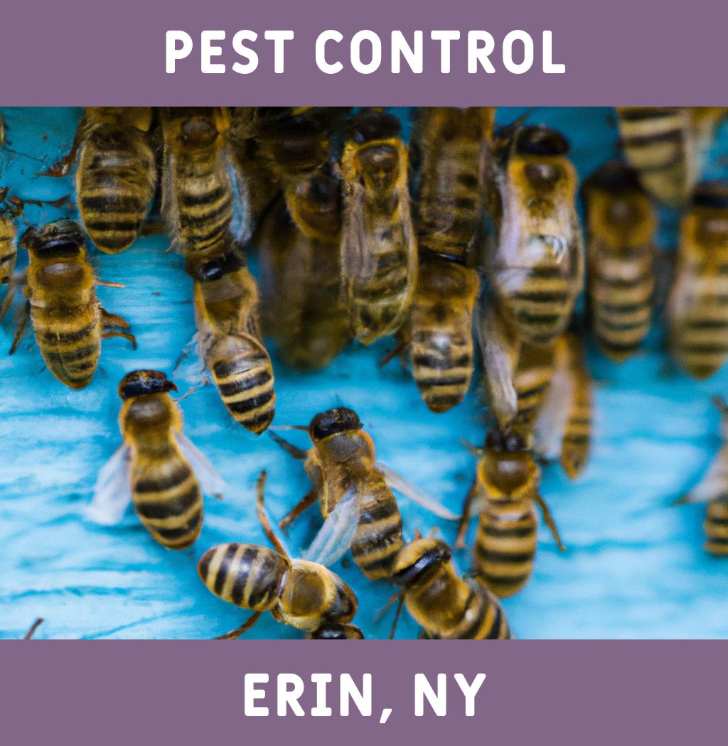 pest control in Erin New York