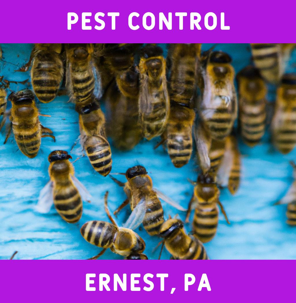 pest control in Ernest Pennsylvania