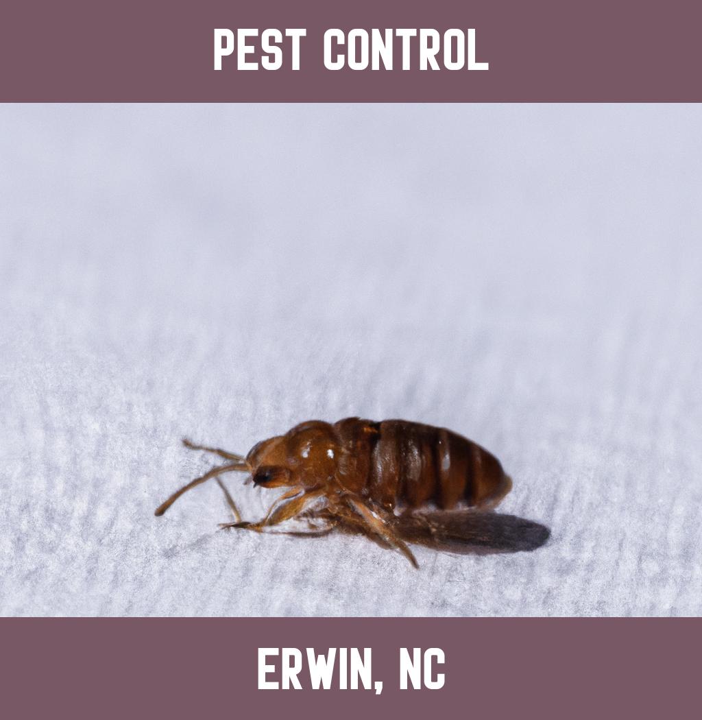 pest control in Erwin North Carolina