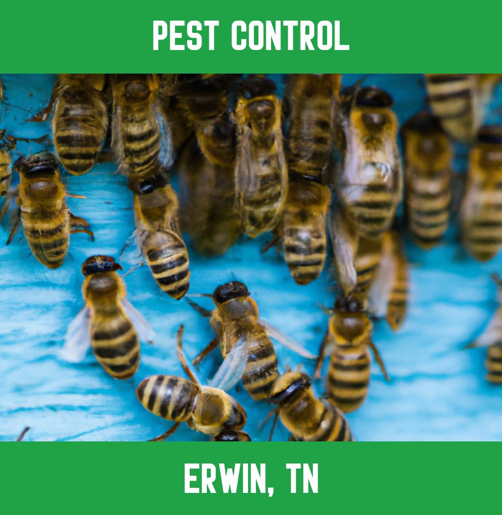 pest control in Erwin Tennessee