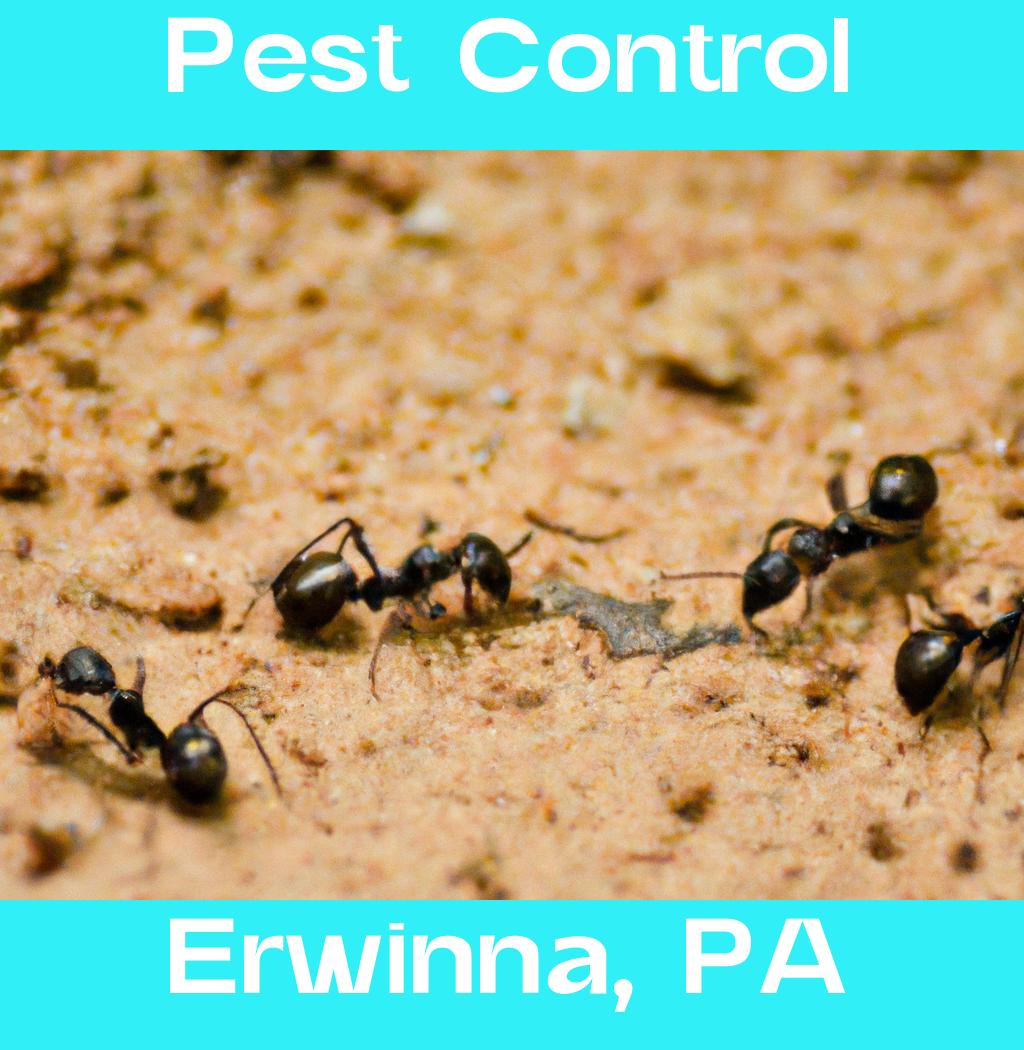 pest control in Erwinna Pennsylvania