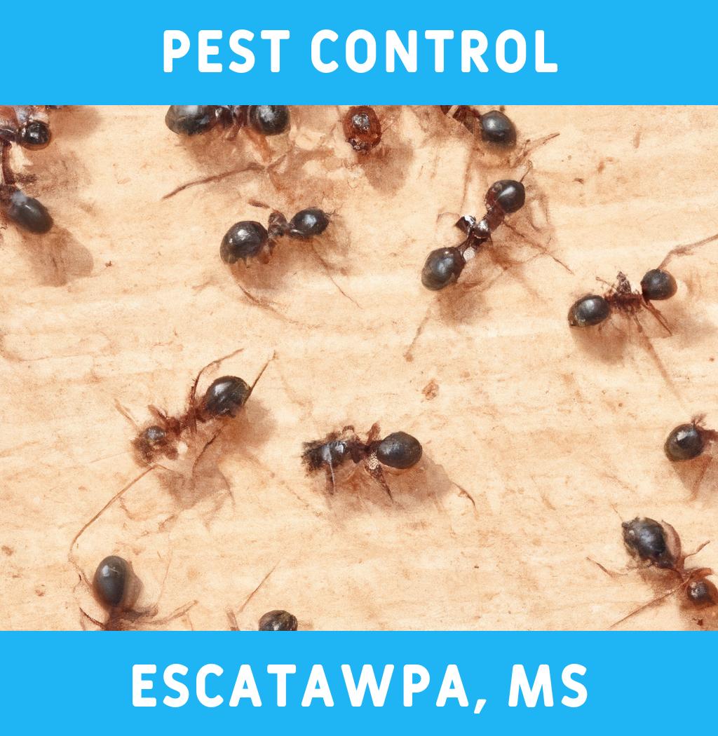 pest control in Escatawpa Mississippi