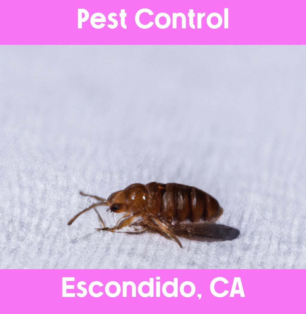 pest control in Escondido California