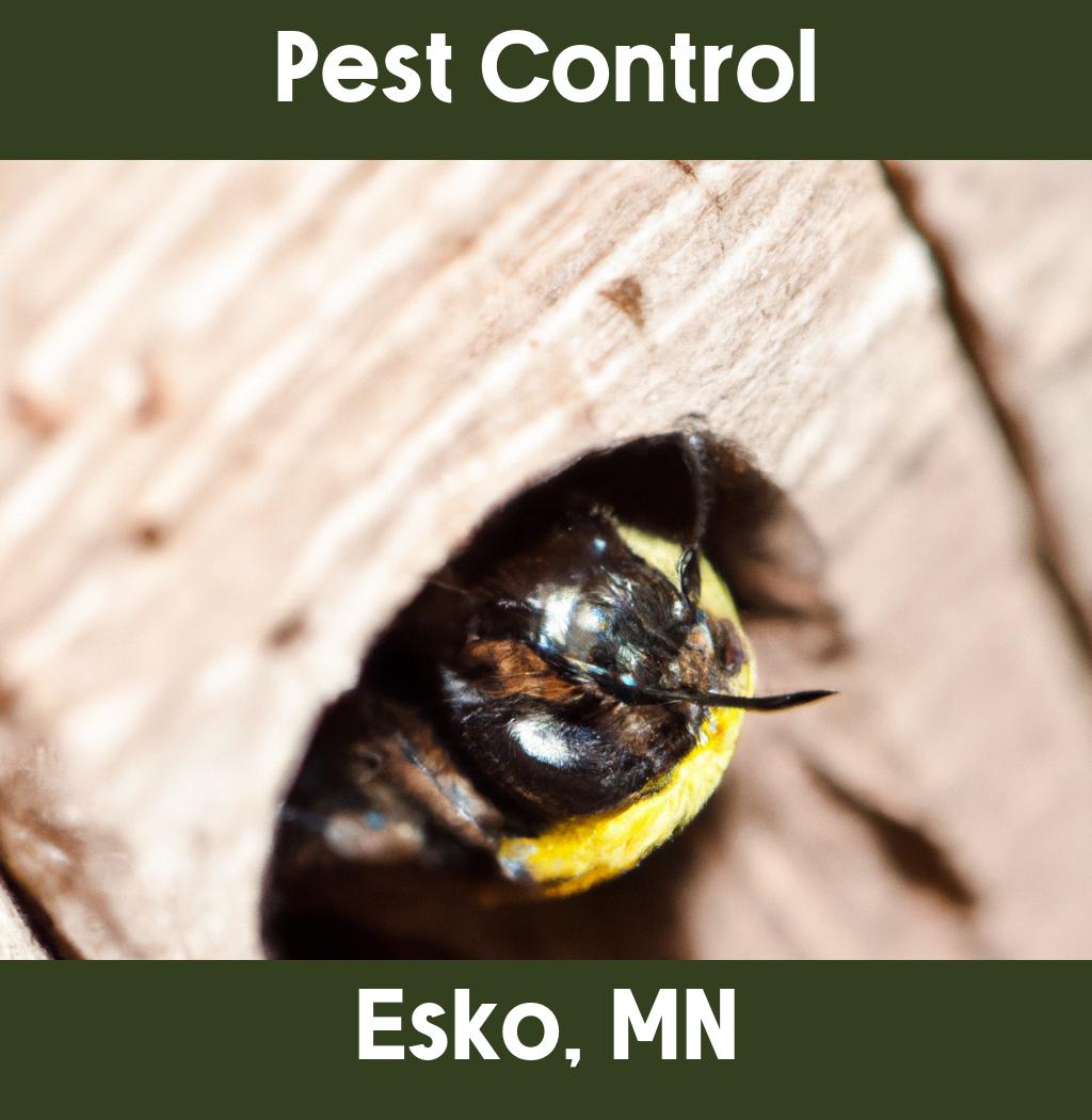 pest control in Esko Minnesota