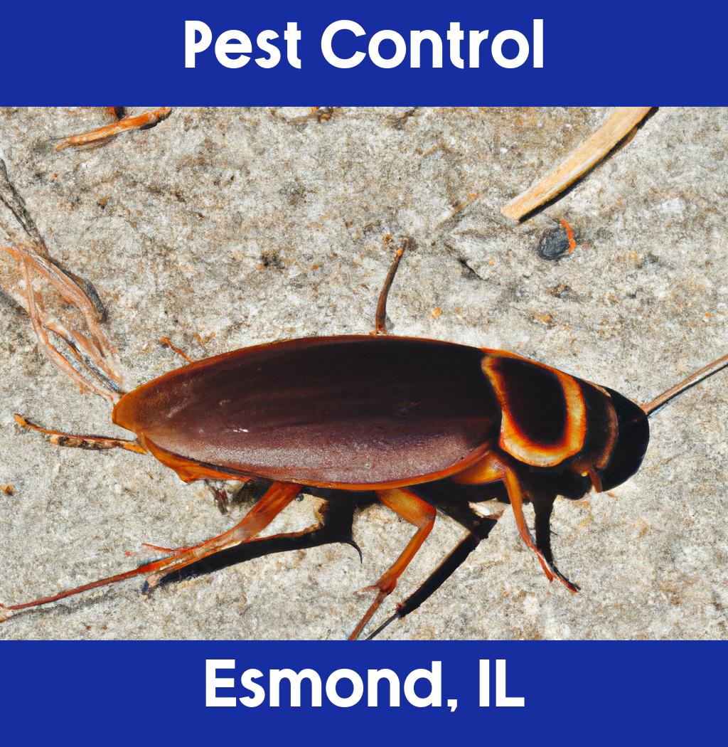 pest control in Esmond Illinois