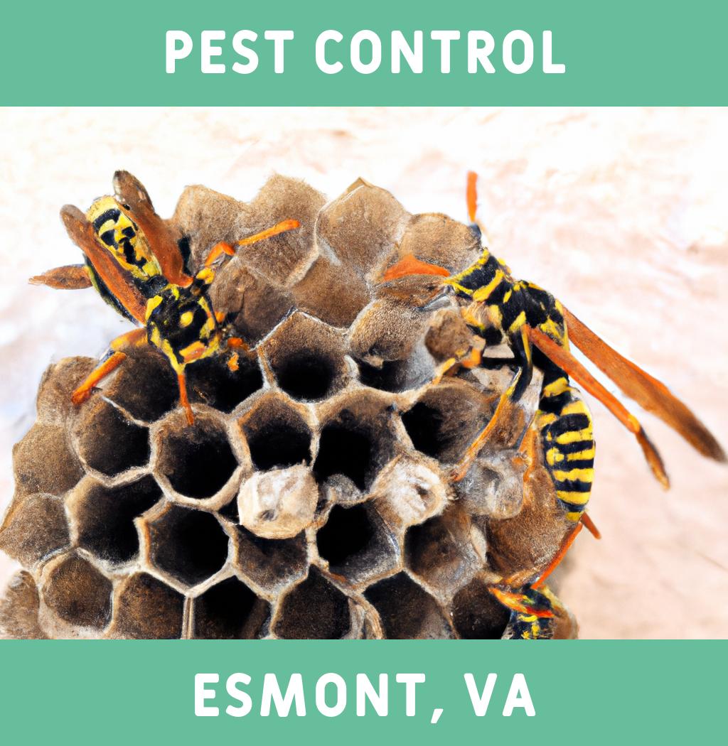 pest control in Esmont Virginia