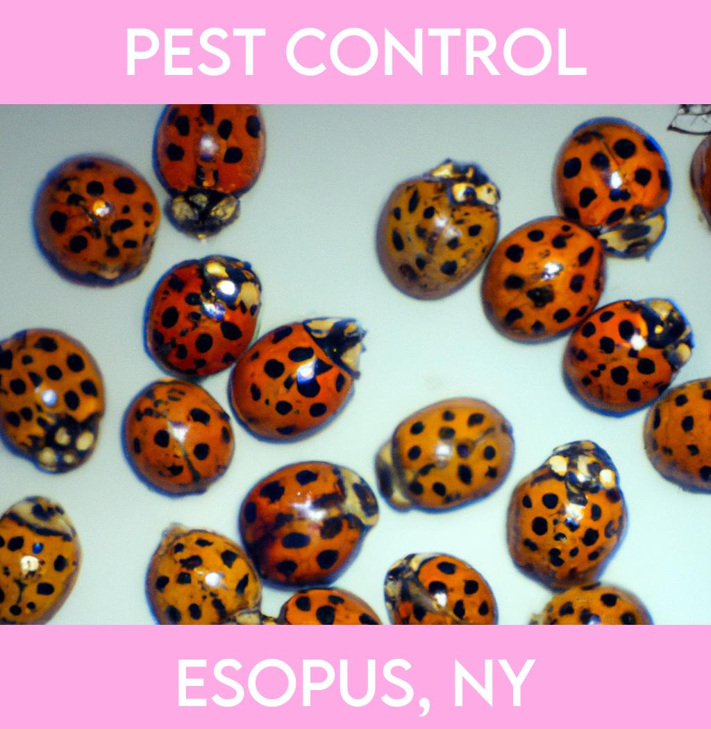 pest control in Esopus New York