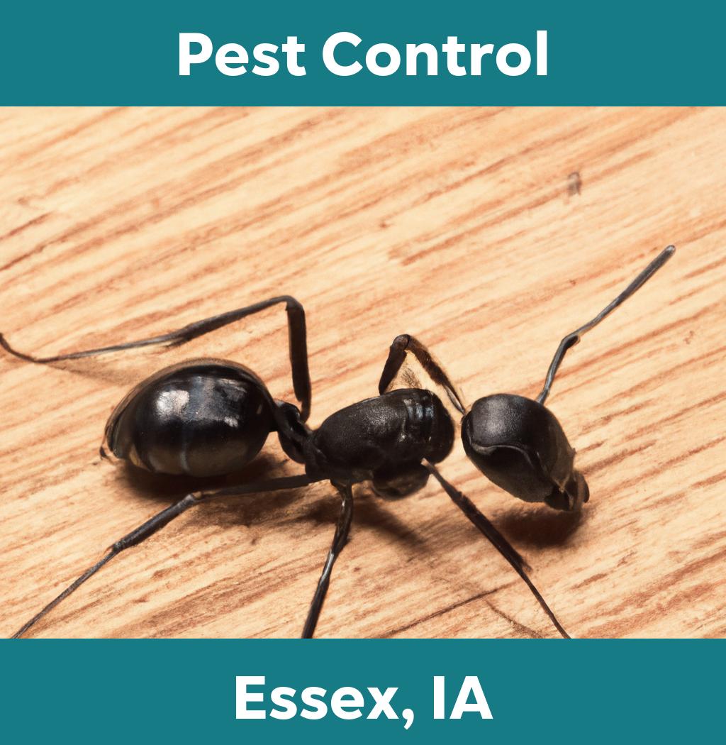 pest control in Essex Iowa