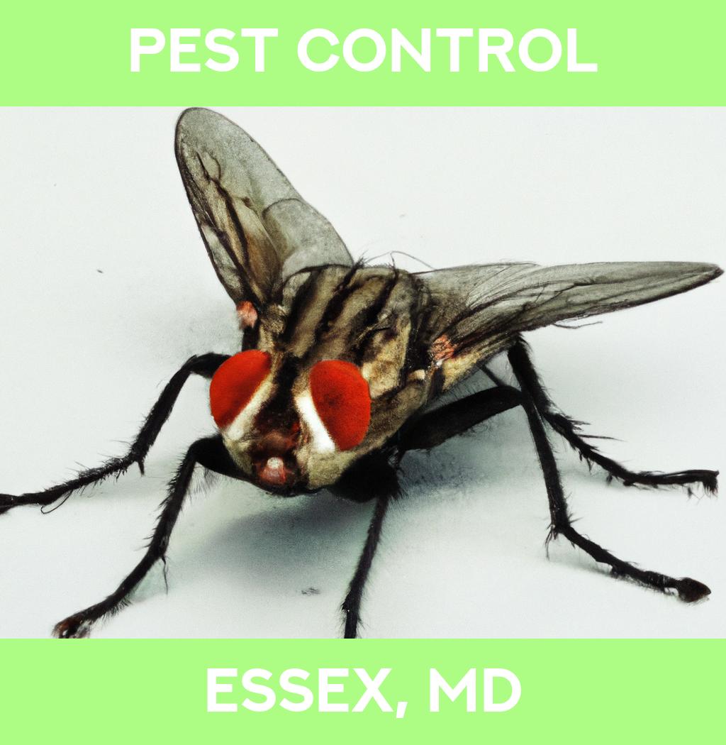 pest control in Essex Maryland