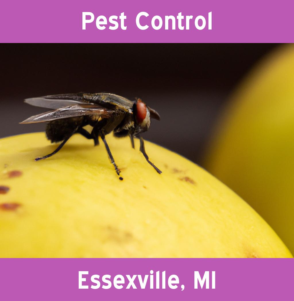 pest control in Essexville Michigan