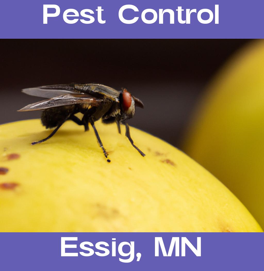 pest control in Essig Minnesota