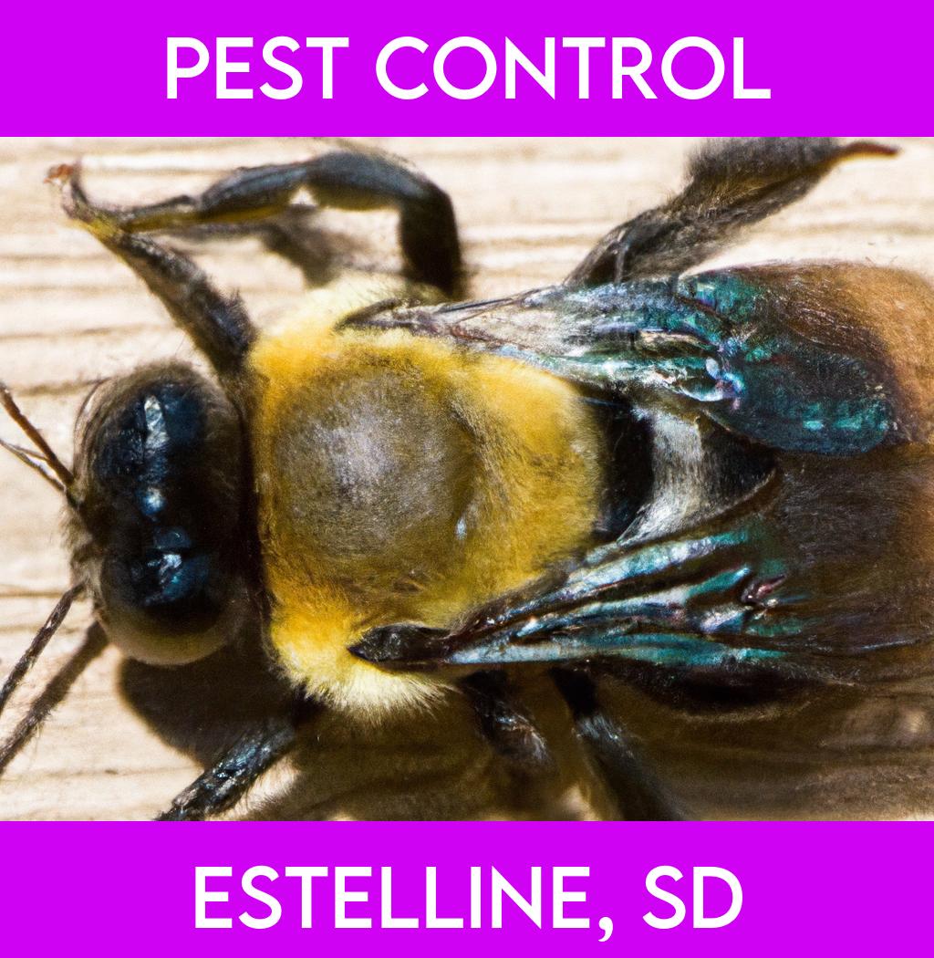 pest control in Estelline South Dakota