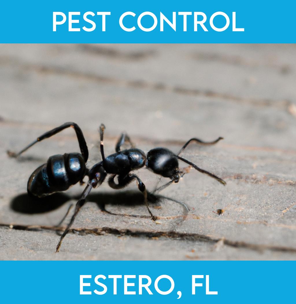 pest control in Estero Florida