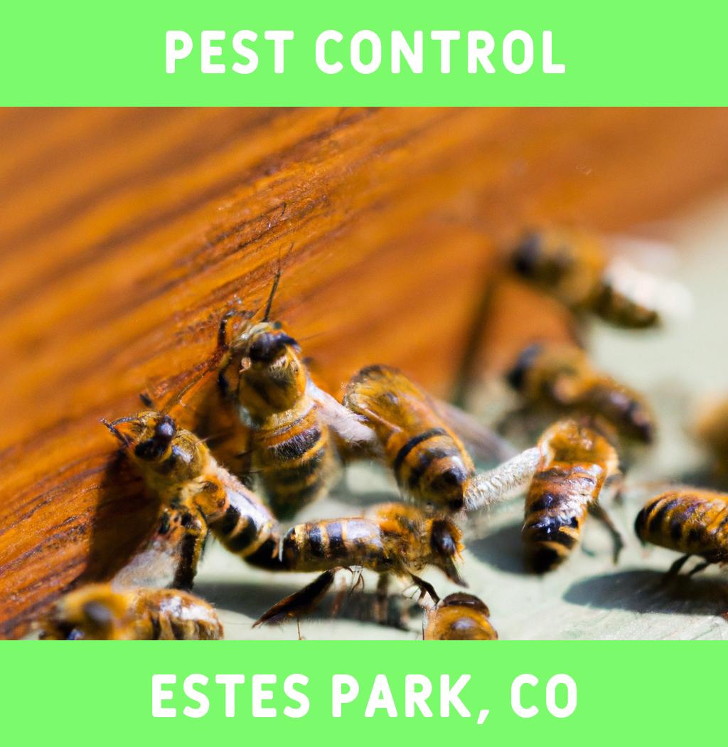 pest control in Estes Park Colorado