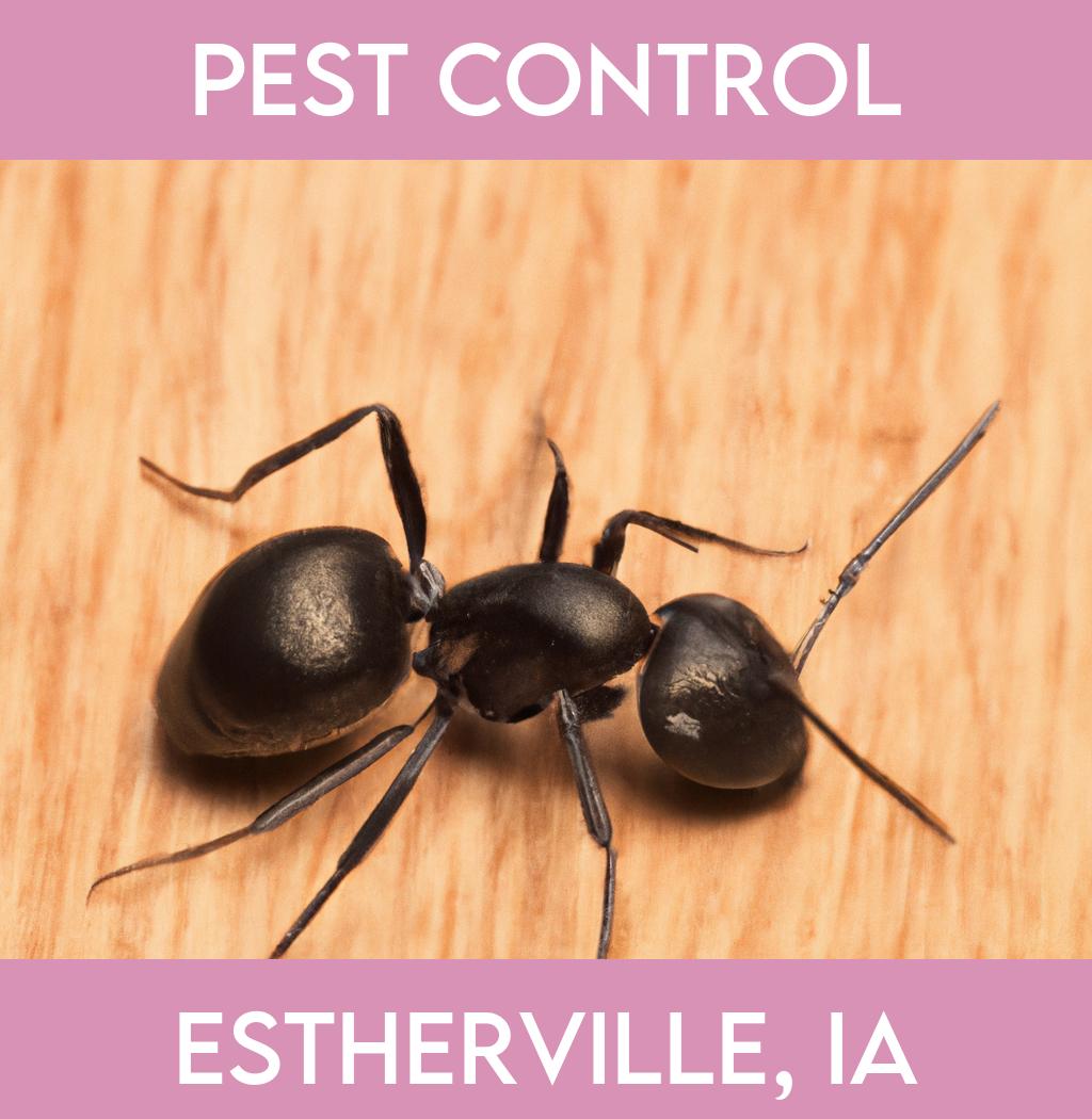 pest control in Estherville Iowa