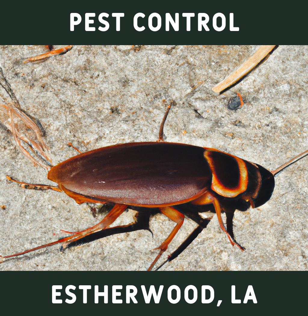 pest control in Estherwood Louisiana