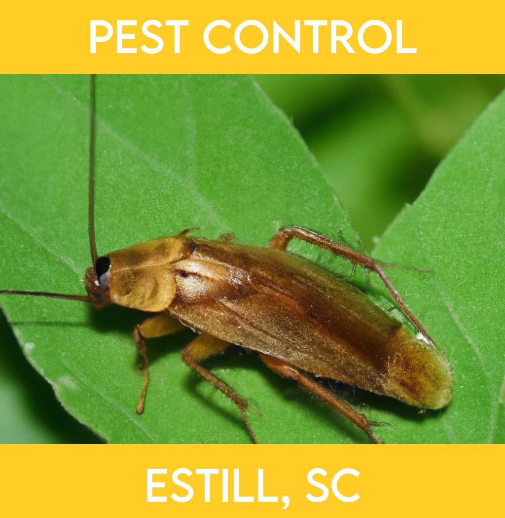 pest control in Estill South Carolina