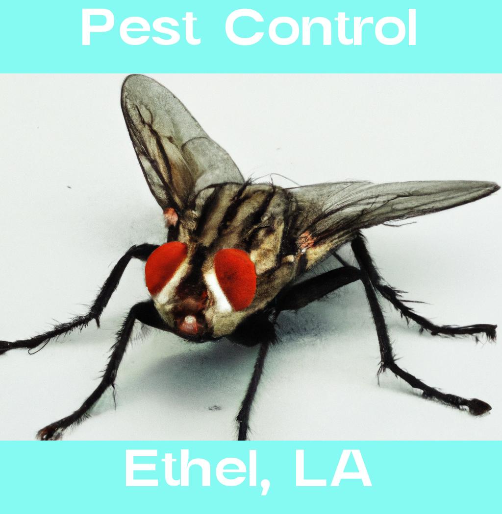 pest control in Ethel Louisiana