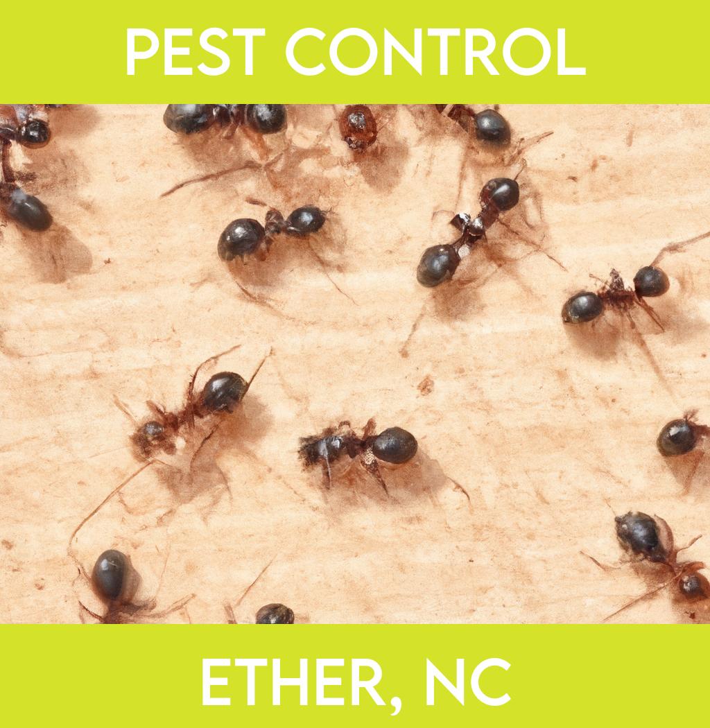 pest control in Ether North Carolina