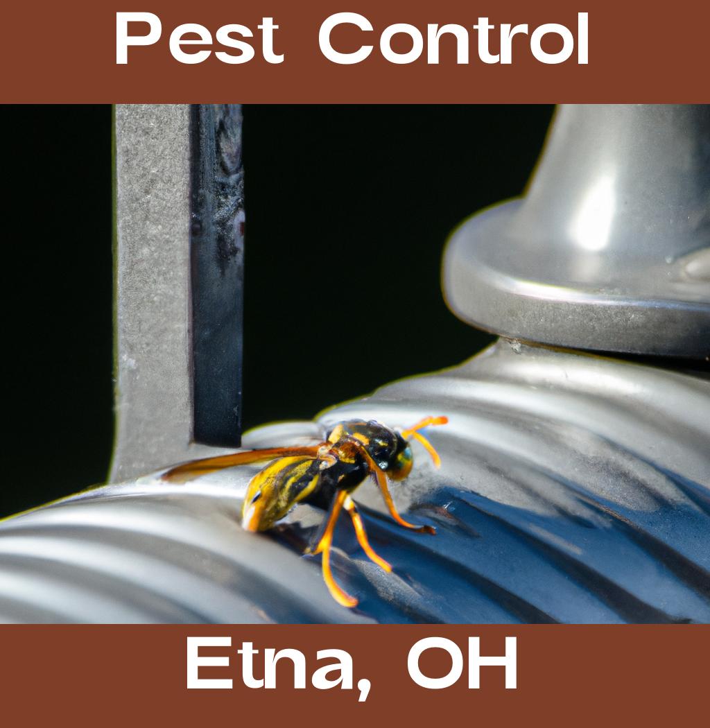 pest control in Etna Ohio