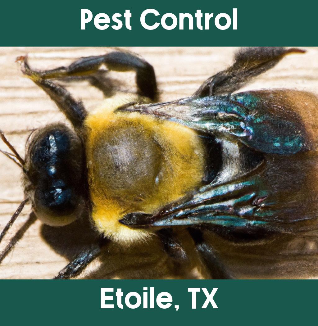 pest control in Etoile Texas