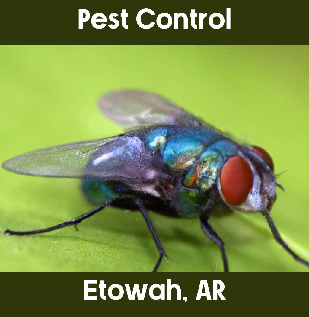 pest control in Etowah Arkansas