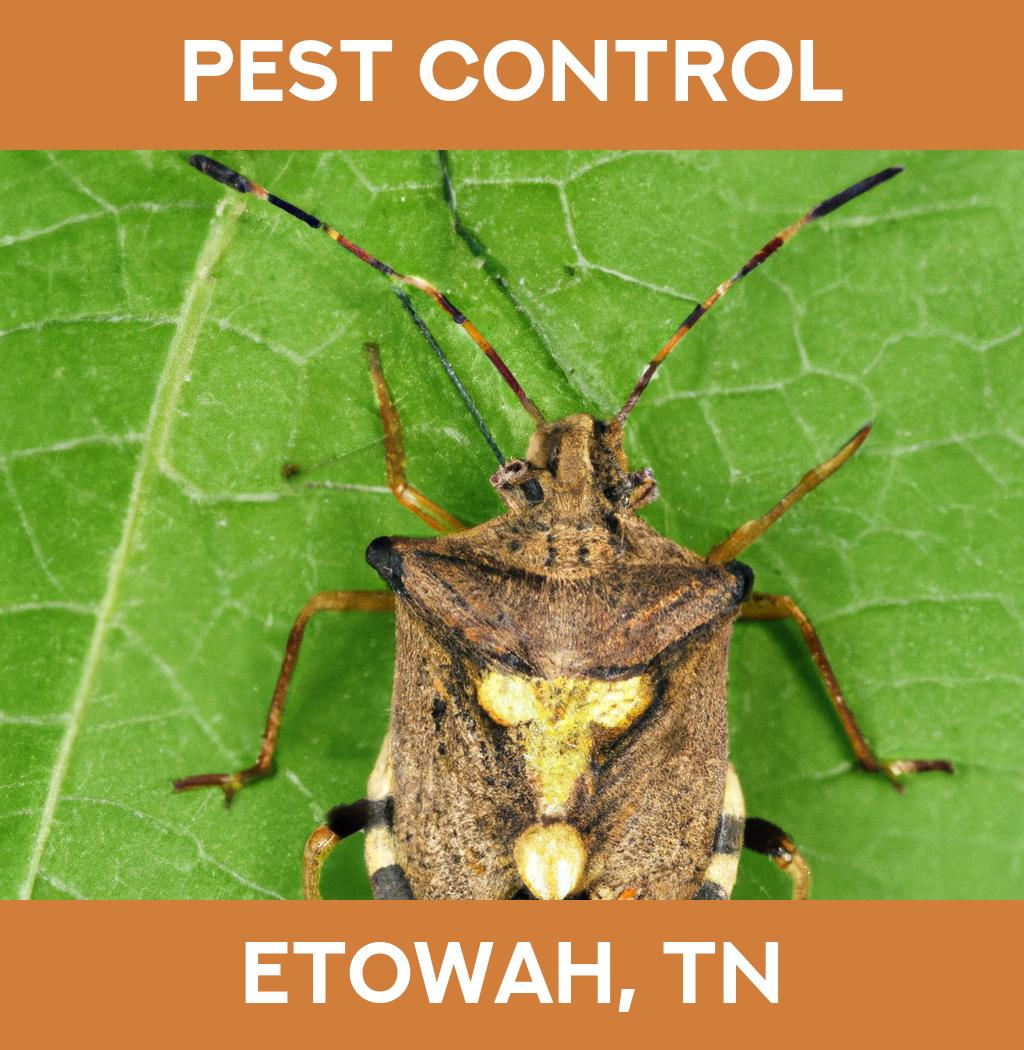 pest control in Etowah Tennessee